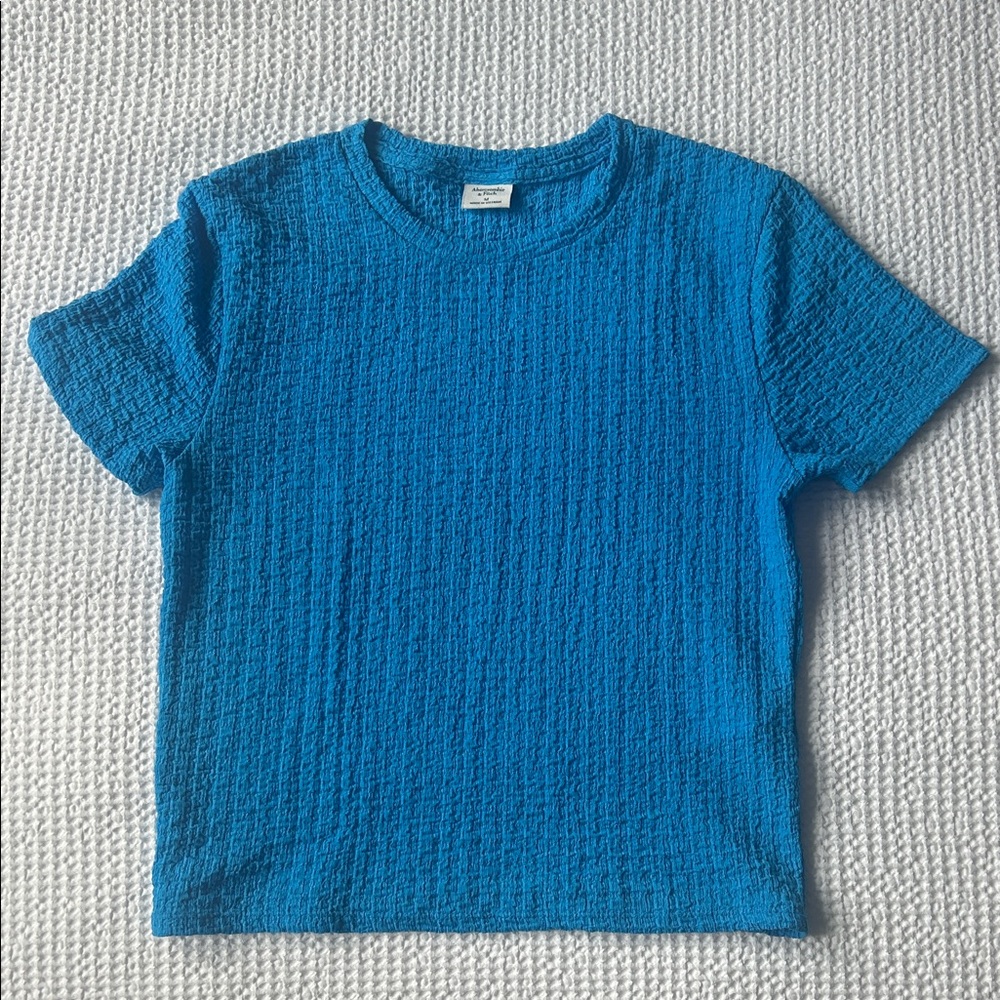 Abercrombie & Fitch Blue Short Sleeve Tee